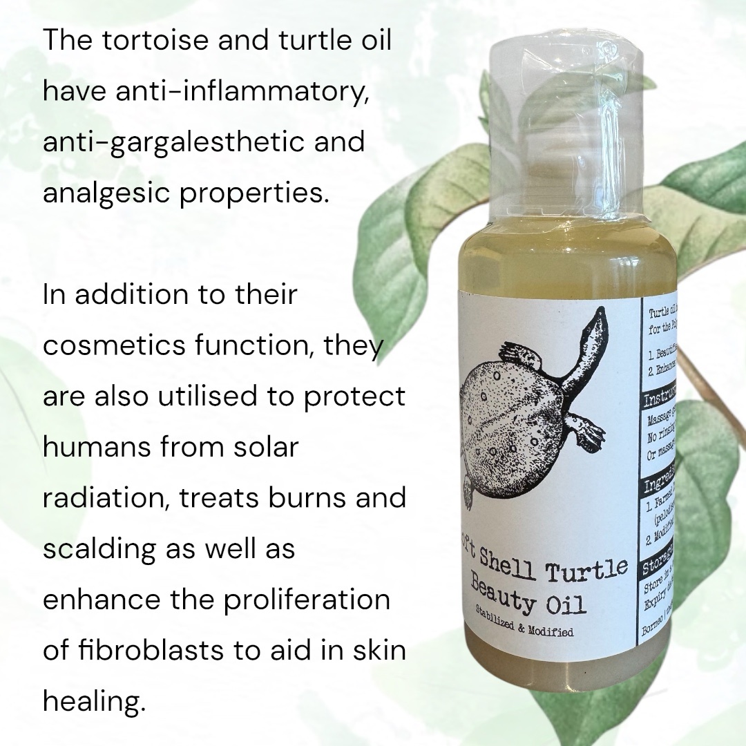 Pure turtle beauty oil from The Jamu Shop